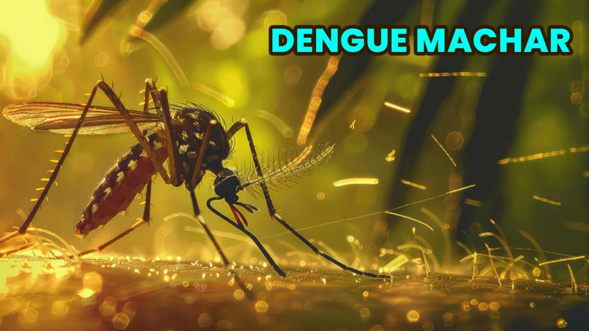 Dengue-Machar