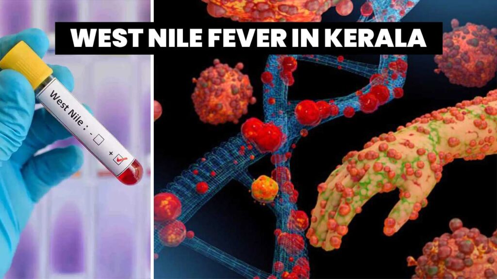 West-Nile-fever-in-Kerala